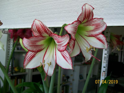 100_6795.JPG