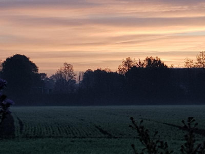 20191015_073307.jpg