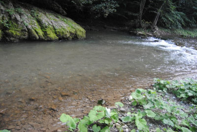 051.JPG