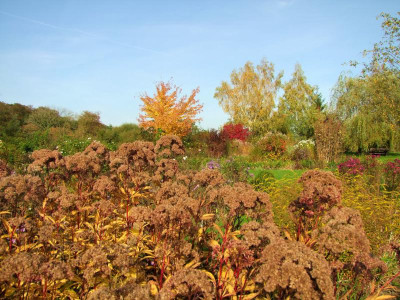 15.10.2019 19-19-23_20472.jpg
