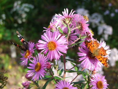 15.10.2019 19-18-33_20447.jpg