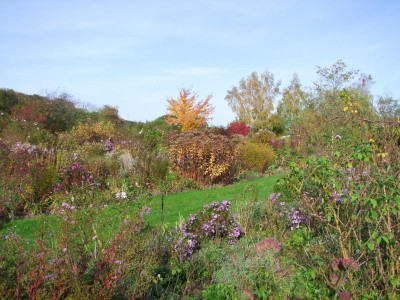 15.10.2019 19-20-57_20515.jpg