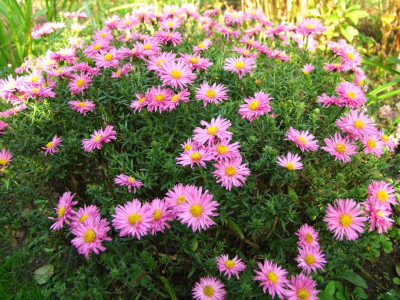 15.10.2019 19-17-56_20429.jpg