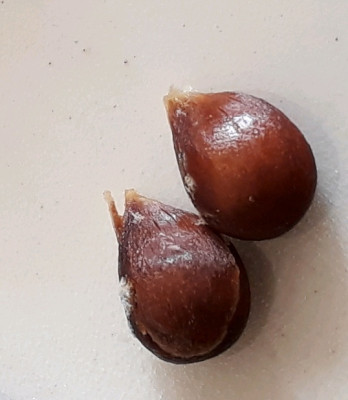 rps20191016_144945.jpg