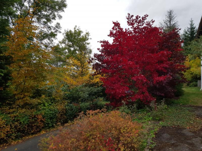 20191016_173418.jpg