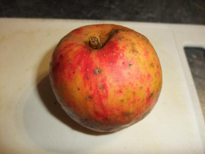 DSCF8078.JPG