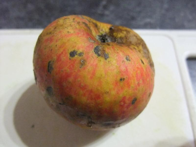 DSCF8080.JPG
