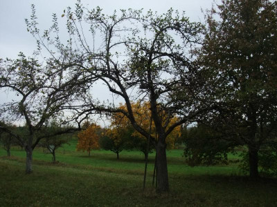 DSCF8068.JPG