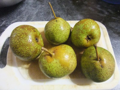 DSCF8074.JPG