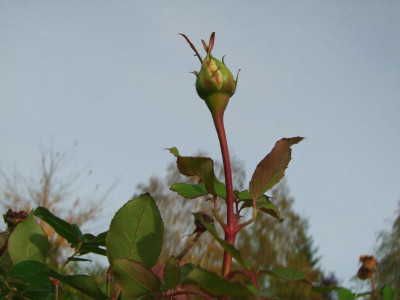 19.10.2019 14-41-09_20774.jpg