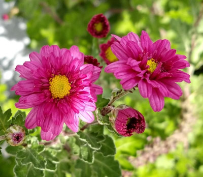 IMG_20191020_132832790_HDR~2.jpg