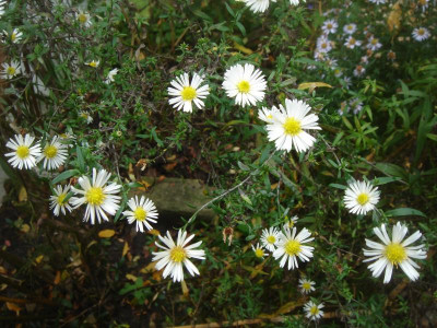 DSC07119.JPG
