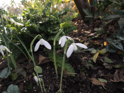 DSCN3689_4241.JPG