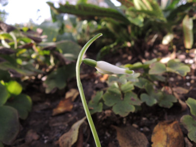 DSCN3695_4243.JPG