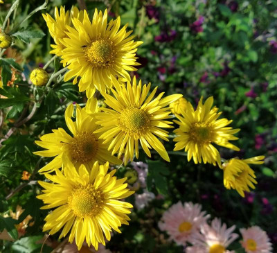 IMG_20191022_142754928_HDR~2.jpg