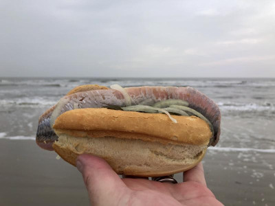 F5873E0D-7D5B-4E3E-BE8E-6C5940B3931D.jpeg