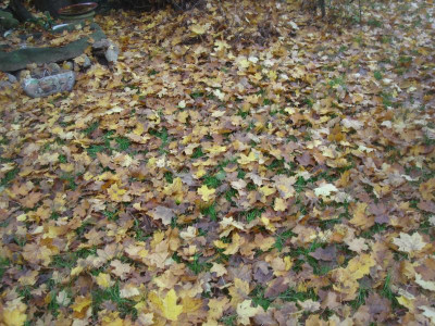 DSC07135.JPG