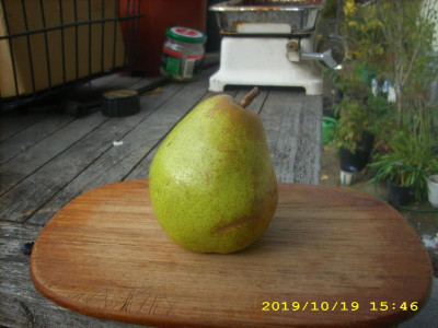 JD500584.JPG