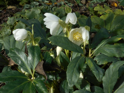 DSCN9095.JPG