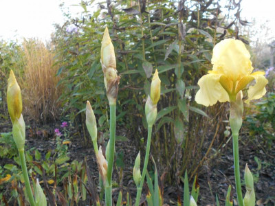 DSCN9046.JPG