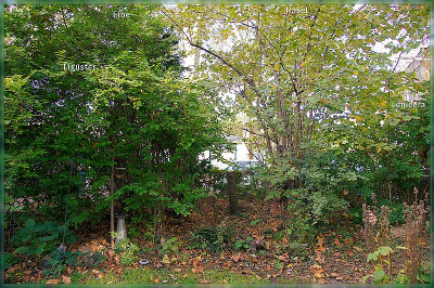 R-2-Vorgarten Loch-800px.jpg
