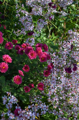 DSC_1506.JPG