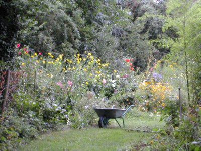 b_gartenansicht_1.jpg