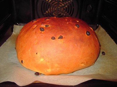 PICT2842.JPG