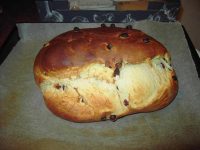 PICT2845.JPG