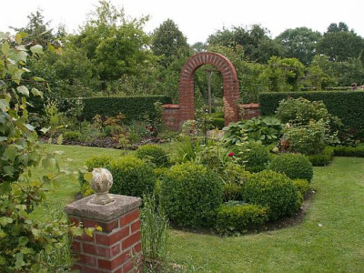Tilia-1.jpg