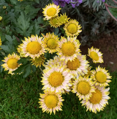 IMG_20191027_104438597_HDR~2.jpg
