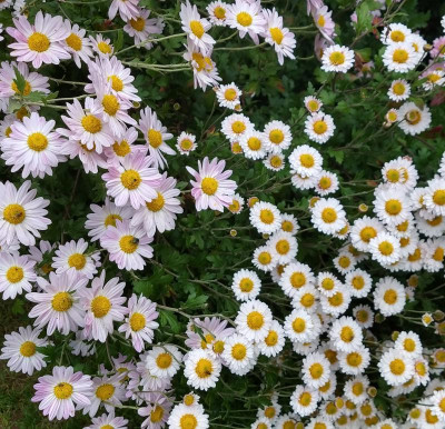 IMG_20191027_104212275_HDR~2.jpg