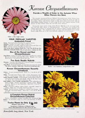 flowerfieldseeds1939.jpg