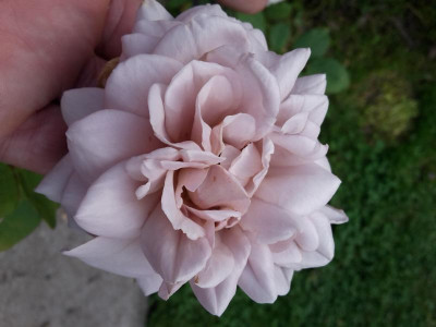 20180720_154721.jpg