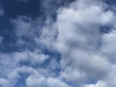 IMG-1621_DxO_1000px.jpg