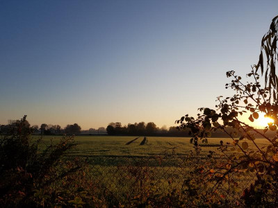 c1 (14).jpg