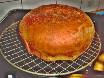 24STD_Brot_lalelu3.jpg