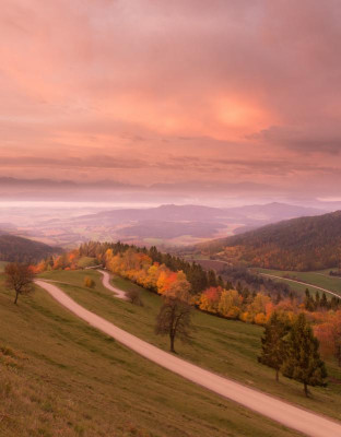 DSC_5389-Pano.jpg