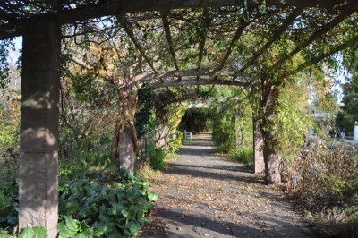 Pergola.jpg