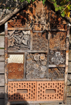 Insektenhotel_1.jpg