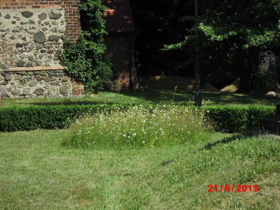 DSCI0093.JPG