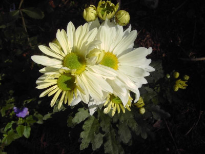 PICT2861.JPG
