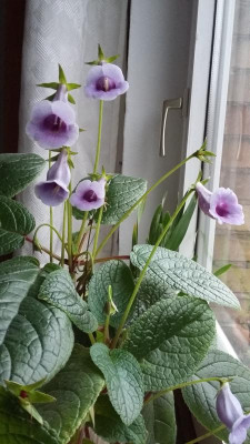 20191102_080419.jpg