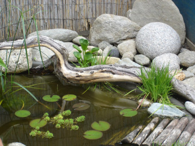 teich3.07.jpg