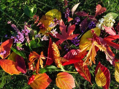 Herbst 2019.JPG