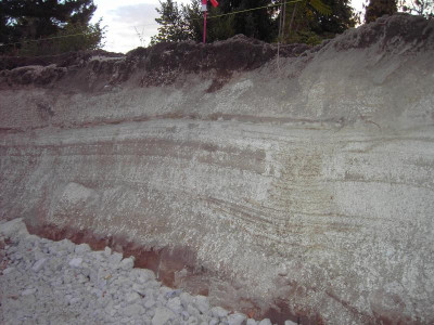 PICT2827.JPG
