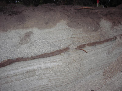 PICT2830.JPG
