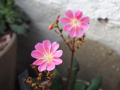 PB030104.JPG