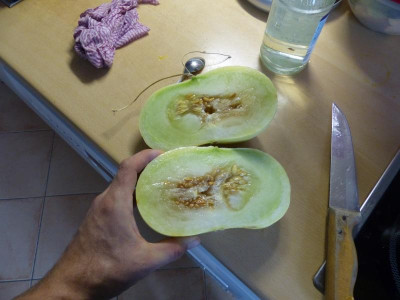 P1100526.JPG
