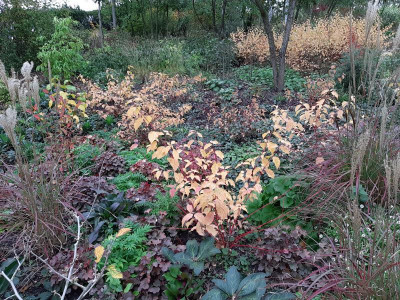 Herbst1.png